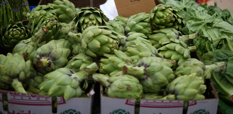 Seasonal produce - fresh artichokes for sale at the farmers market in May